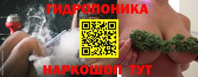 эйфоретик Камышлов
