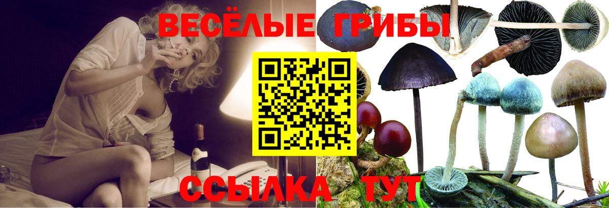 Псилоцибиновые грибы мухоморы  как найти закладки  Вход с VPN  Комсомольск-на-Амуре  Псилоцибиновые грибы Psilocybe 
