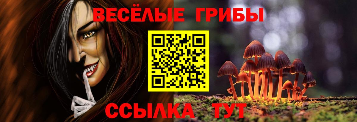 Галлюциногенные грибы Psilocybine cubensis Комсомольск-на-Амуре